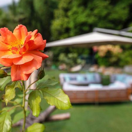 Parkhotel Brenscino ブリッサーゴ エクステリア 写真